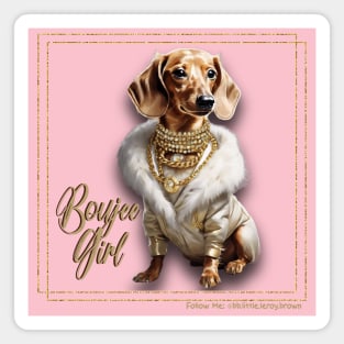 Boujee Girl Dachshund Wearing Luxurious Coat & Gold Necklaces Magnet